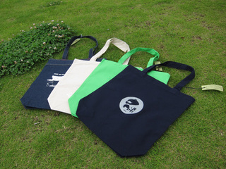 bag.jpg
