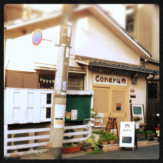 coneru.JPG